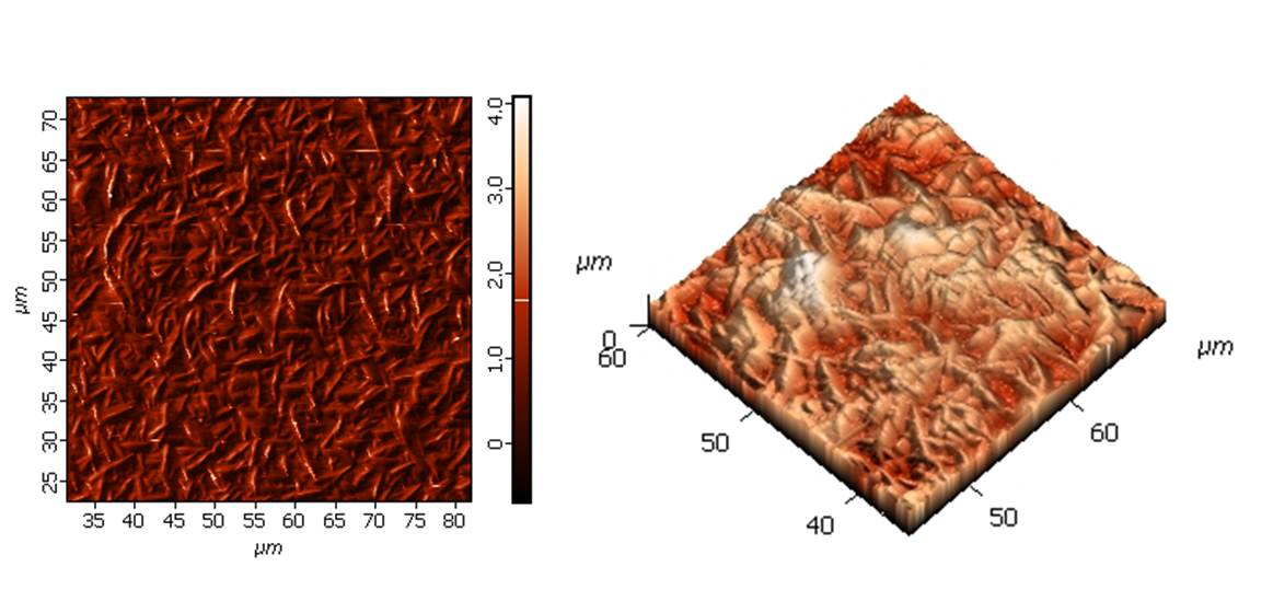 AFM and MFM measurements